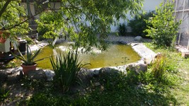 Vogelpark-teltow-04.jpg