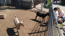 Vogelpark-teltow-13.jpg