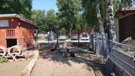 Vogelpark-teltow-14.jpg
