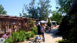 Vogelpark-teltow-15.jpg