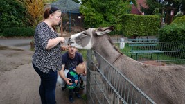 Vogelpark-teltow-2-09.jpg