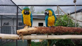Vogelpark-teltow-2-10.jpg