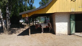 Vogelpark-teltow-22.jpg
