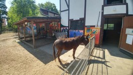 Vogelpark-teltow-29.jpg