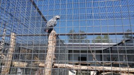 Vogelpark-teltow-32.jpg