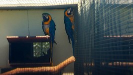 Vogelpark-teltow-34.jpg