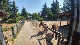 Vogelpark-teltow-35.jpg
