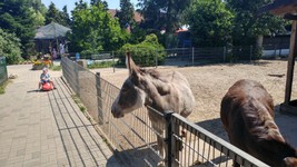 Vogelpark-teltow-36.jpg