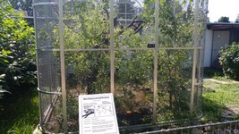 Vogelpark-teltow-49.jpg